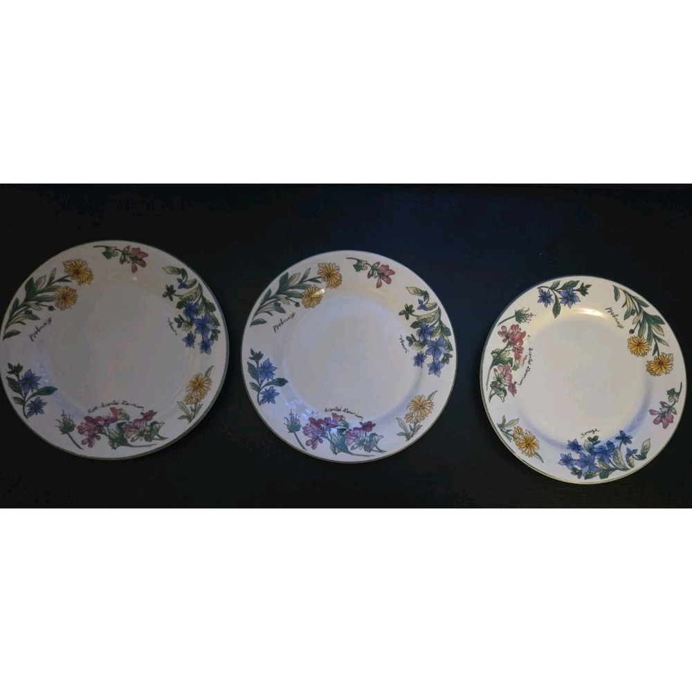 Sue Zipkin Majesticware by Oneida 1997 Geranium stoneware salad plates set of 3